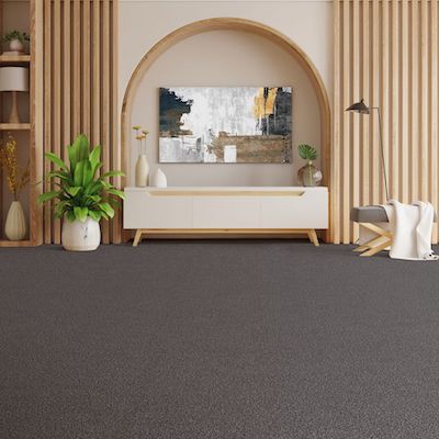 grey carpet in a San Luis Obispo living room